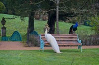 Old Warden in and out of doors